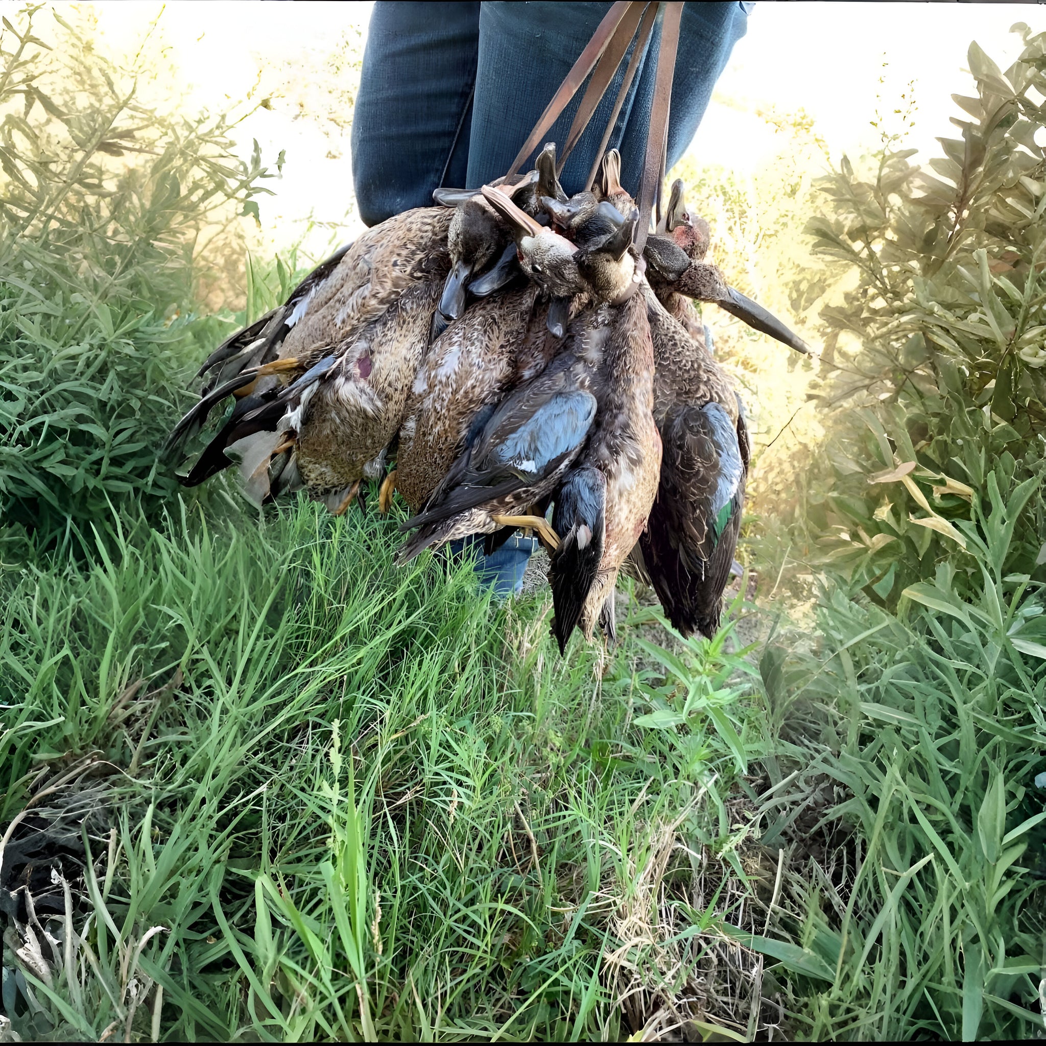 Big Duck & Goose Hunt – Field Blind (3–5 Guns)