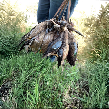 Big Duck & Goose Hunt – Field Blind (3–5 Guns)